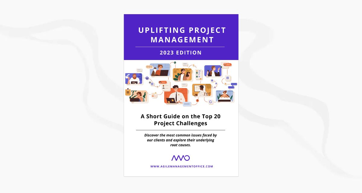 AMO - A Short Guide on the Top 20 Project Challenges