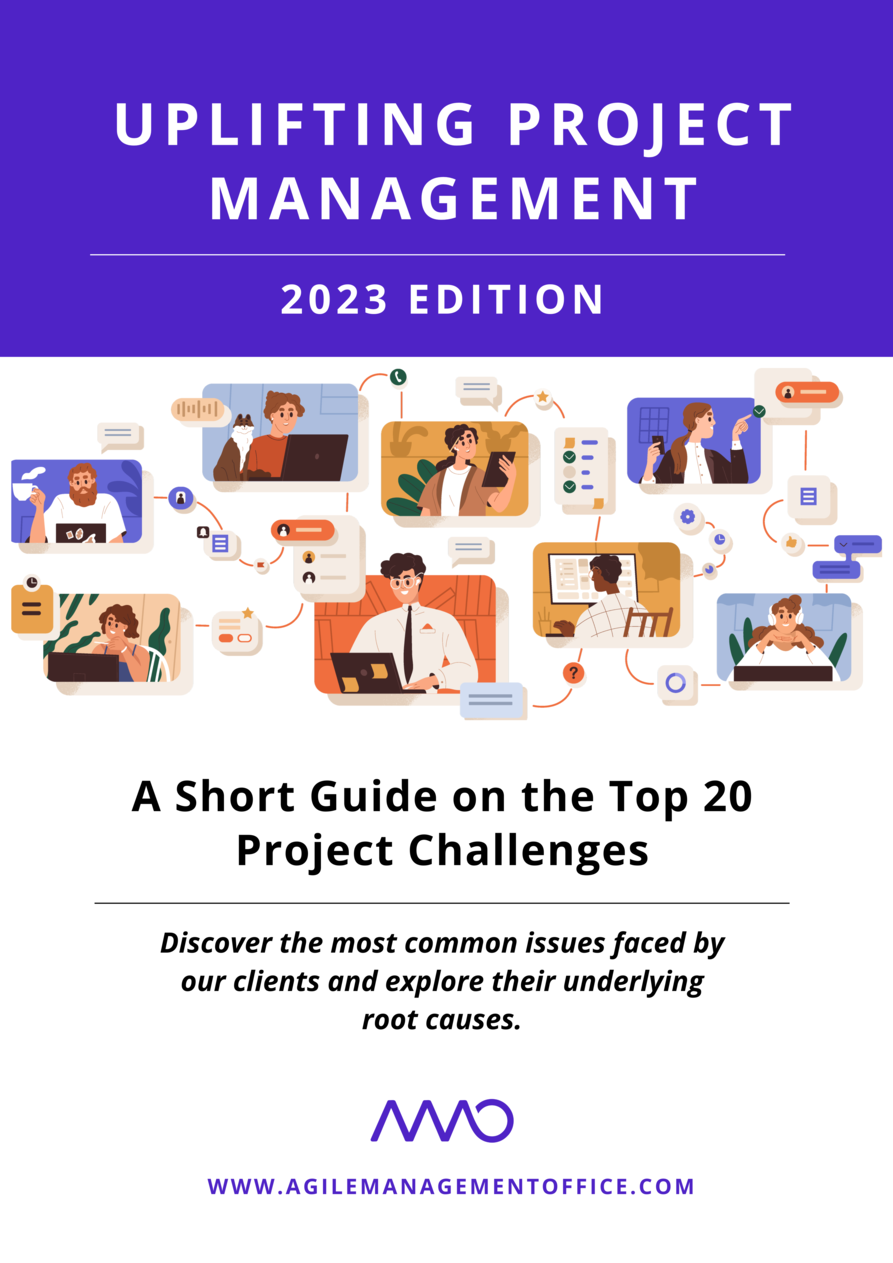 Project Challenges Summary AMO - A Short Guide on the Top 20 Project Challenges